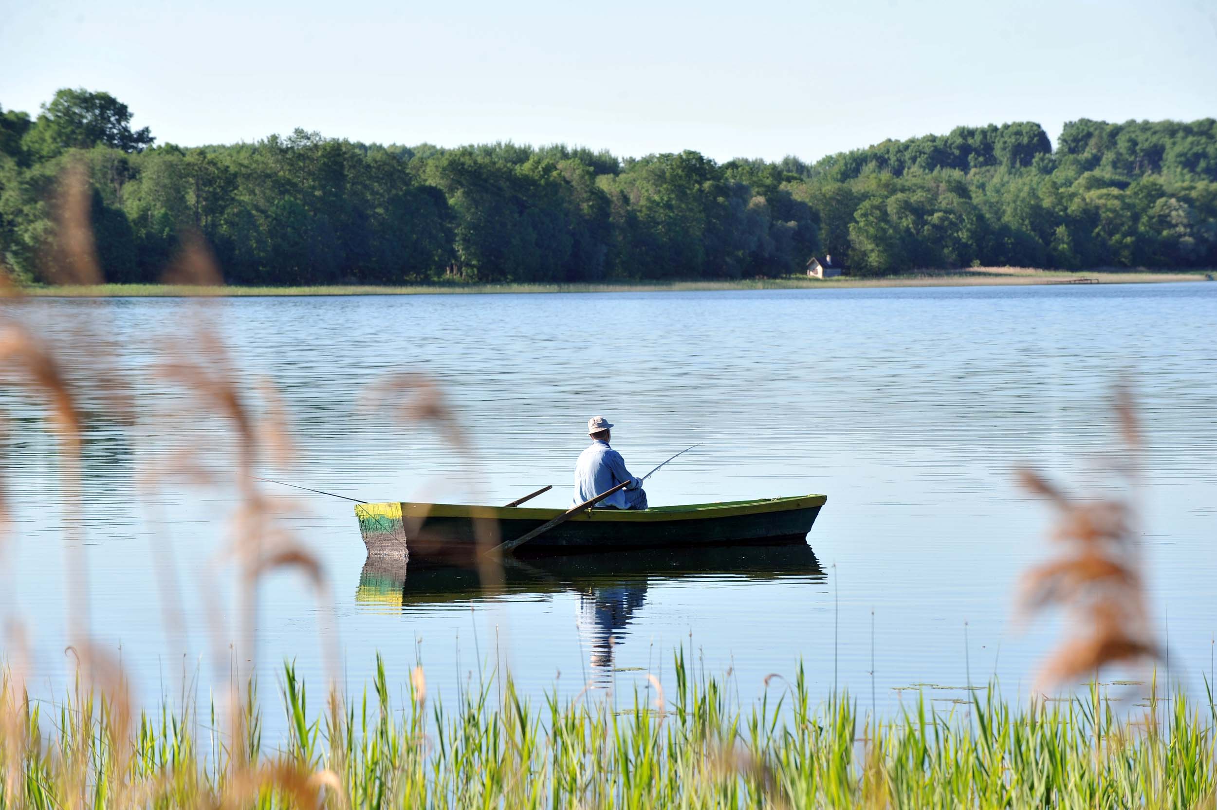 Freshwater Bass Fishing Tips for Summer - Whamz Fishing Tips and